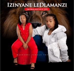 Izinyane le Dlamanzi – Noma Ngakhona