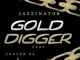 JazziNator – ‎Gold Digger Ft Cuelon SA & Pandizzo