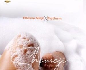 Mfalme Ninja – Shemeji Remix Ft Platform