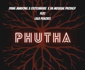 Iyane Jamdong – Phutha Ft Lala Peaches , Crosswavee & Da Muziqal Prodigy