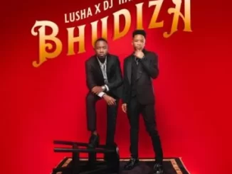 DJ Harvey – Bhudiza Ft. Lusha, TA MusiQ, Citykingrsa, JFS Music, Blvcknavy & Deeray