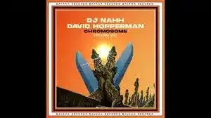 DJ NAHH – Chromosome Ft. David Hopperman