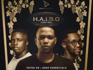 Fatso 98 – HAIBO (VSOP MIX) Ft Deep Essentials