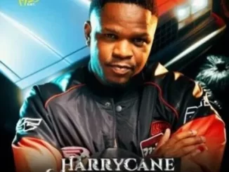 HarryCane – Whistle Song