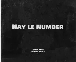Sgija Keys – Nay Le Number Ft TriggaPablo, Blaqboy Musiq, M00tion & Mr Ternity