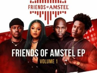 Various Artists – Friends Of Amstel Volume 1