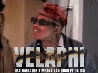 MalumNator – Velaphi Ft. Mfana Kah Gogo & Da lsh