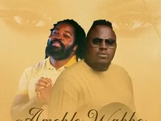 Big Zulu – Amehlo Wakho Ft. Jmusic