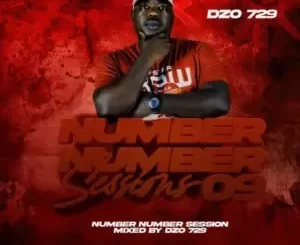 Dzo 729 – Number Number Session 9