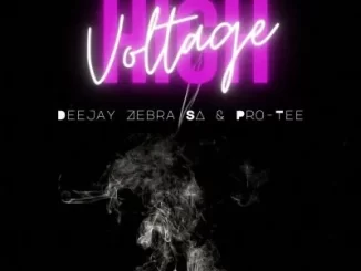 Deejay Zebra SA – High Voltage Ft. Pro-Tee