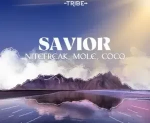 Nitefreak – Savior Ft. MOLE & Coco