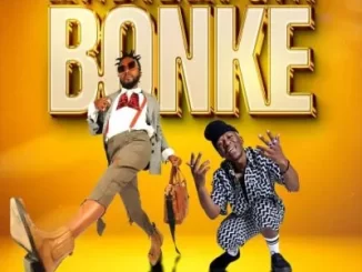 iFani – Andibafuni Bonke Ft Bravo Le Roux