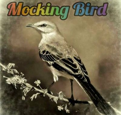 Luxury SA – Mocking Bird