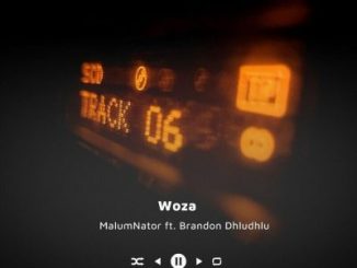 MalumNator – Woza Ft. Brandon Dhludhlu
