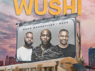 Deep Naratives – Wushi Ft. Naak