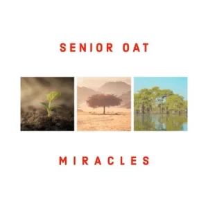 Senior Oat – Find You (Radio Edit) Ft Alice Orion