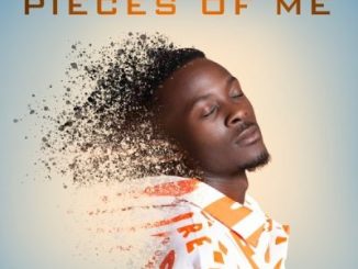 Senjay – Pieces of Me